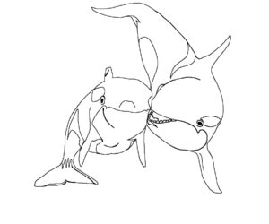 Whale showdown: big vs. small coloring page