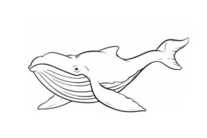 Whale swimming: open mouth, eye visible coloring page