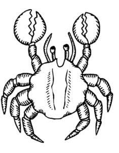 White crab: menacing on white background coloring page