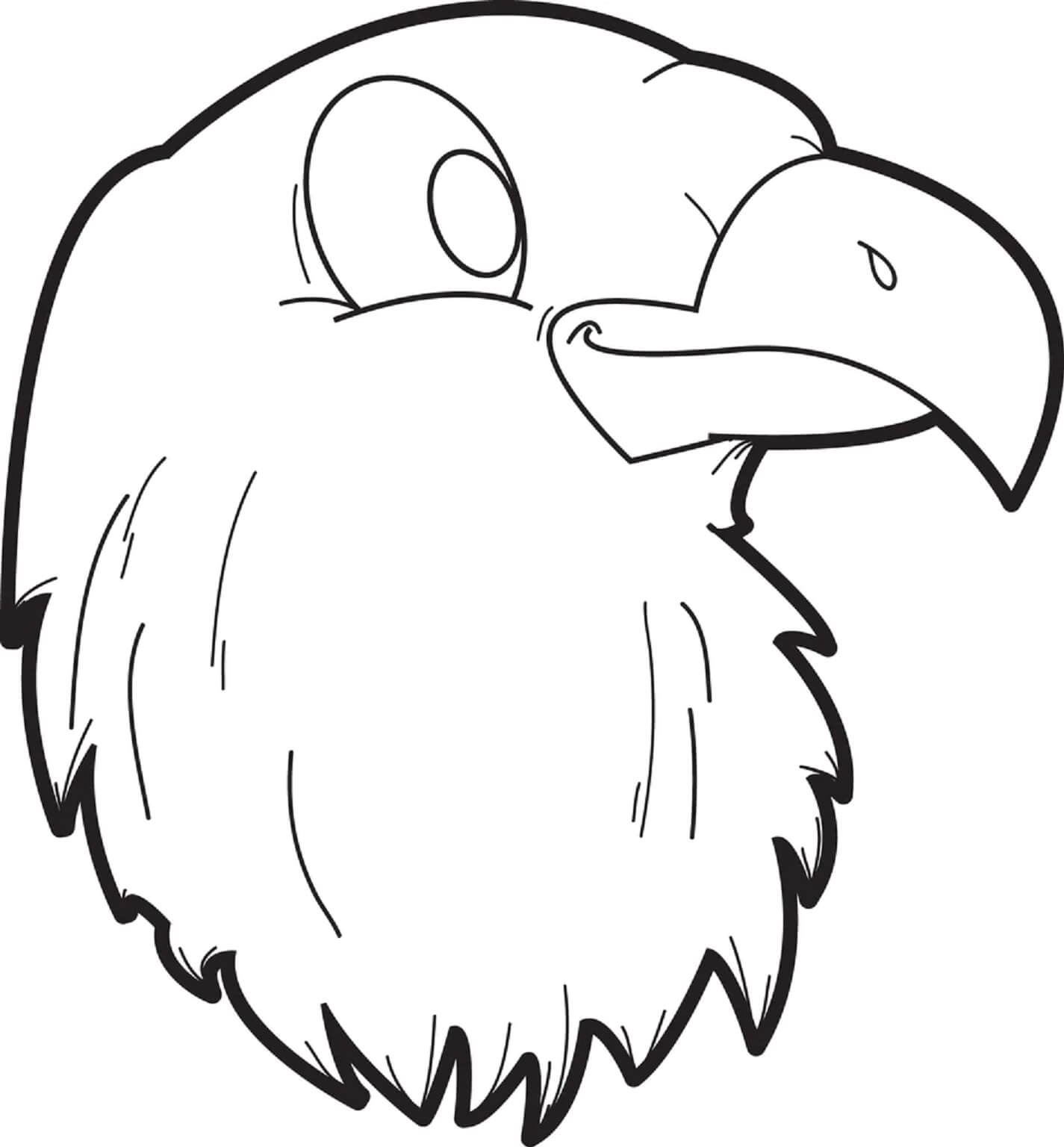 White eagle close up face coloring page