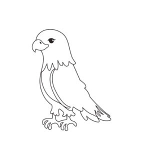 White eagle gazes right, tail trails coloring page