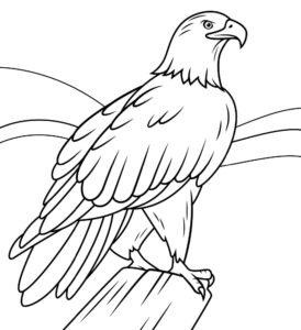 White eagle’s silent watch: horizon gaze coloring page