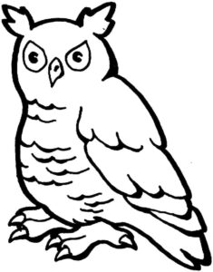 White owl embraces night’s darkness coloring page