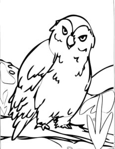 White owl’s furious glare coloring page