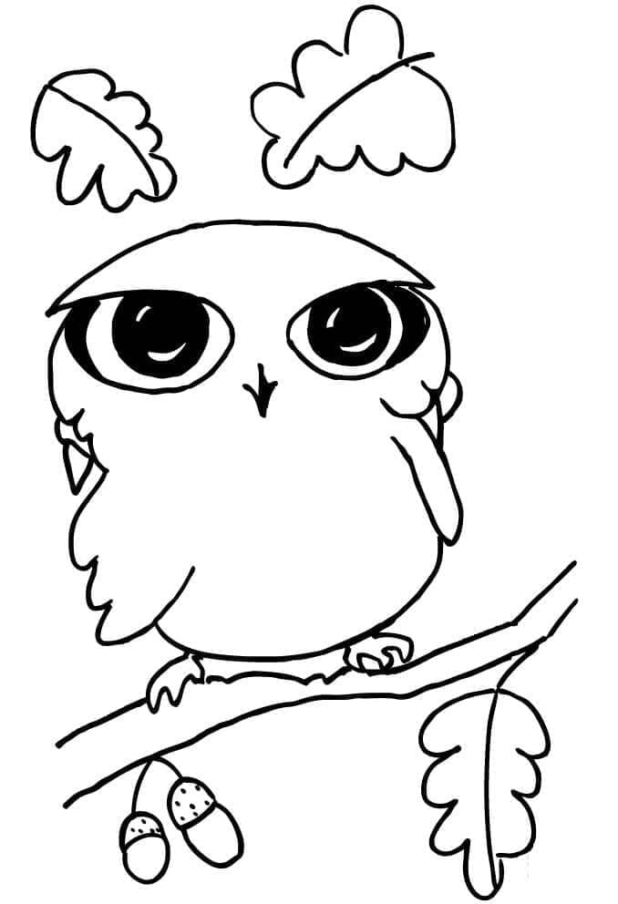 White owl gazes into distance