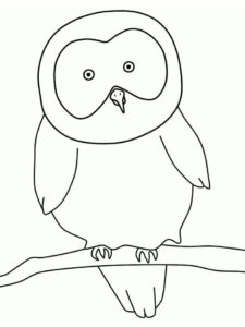 White owl gazes at unseen horizon coloring page