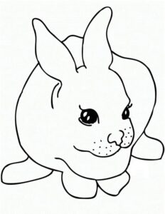 White rabbit’s silent story: blank page coloring page