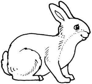 White rabbit smiles: forehead spot coloring page