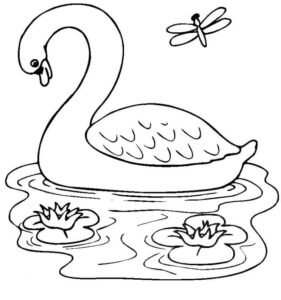 White swan, dragonfly, lily pads coloring page