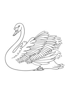 White swan gazes, pond ripples gently coloring page