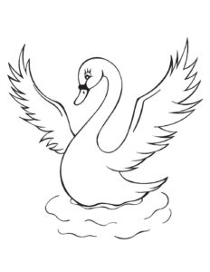 White swan grace: black eyes watch coloring page