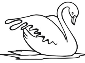 White swan, still life on canvas coloring page