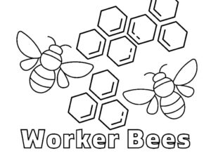 Worker bees: honeycomb flight coloring page