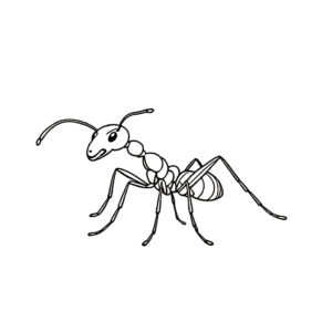 Ant’s world: exploring with antennae coloring page