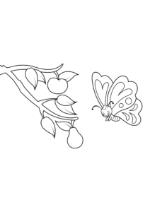 Butterfly beauty, iridescent wings on fruit branch coloring page