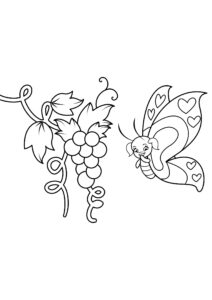 Butterfly sipping nectar on grapes coloring page