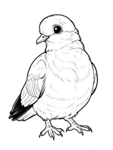 Proud pigeon: feathered tail display coloring page